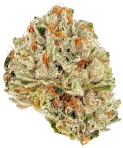 Jelly cake strain bud