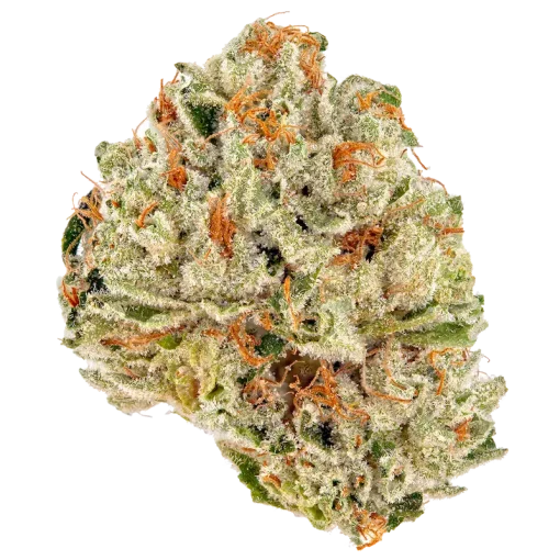 Jelly cake strain bud