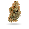 Lilac diesel strain flower