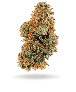 Lilac diesel strain flower