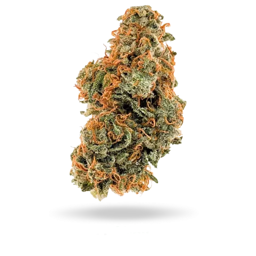 Lilac diesel strain flower