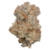 Permanent marker strain flower