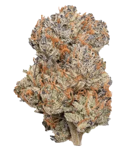 Permanent marker strain flower