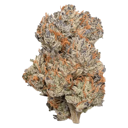Permanent marker strain flower