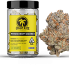 Permanent marker strain flower in a jar