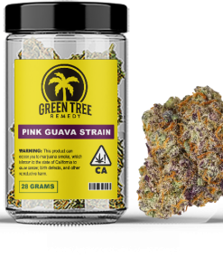 Pink guava strain - cannabis in a jar