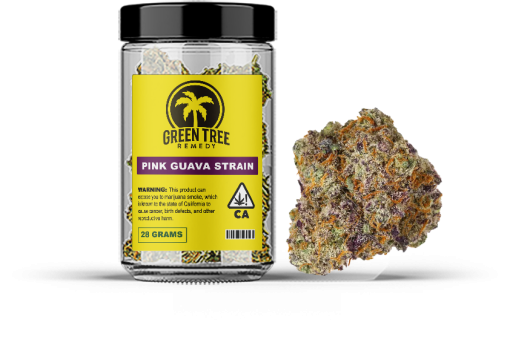 Pink guava strain - cannabis in a jar