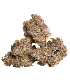 Premium Ice cream runtz strain flower