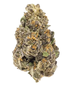 Sherb cream pie strain flower