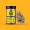 Sherb cream pie strain flower in a jar