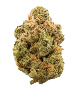 Super sour diesel strain