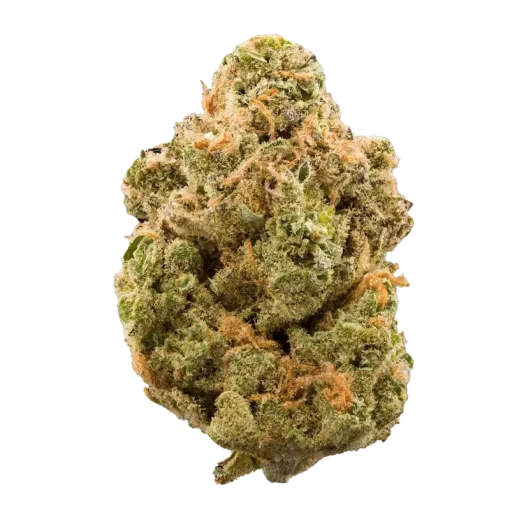 Super sour diesel strain